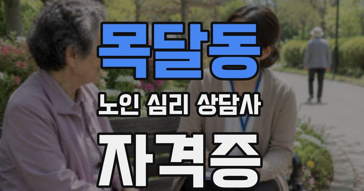 목달동 노인 심리 상담사 자격증