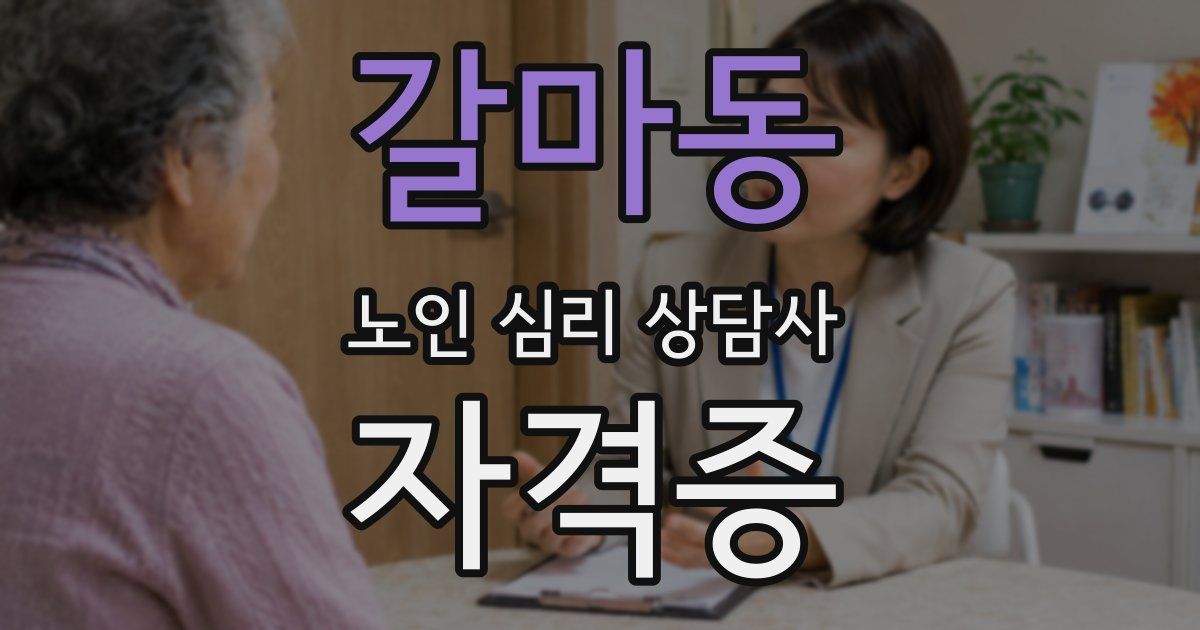 갈마동 노인 심리 상담사 자격증