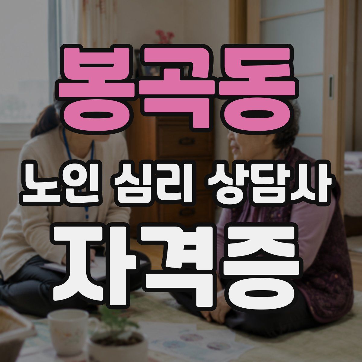 봉곡동 노인 심리 상담사 자격증