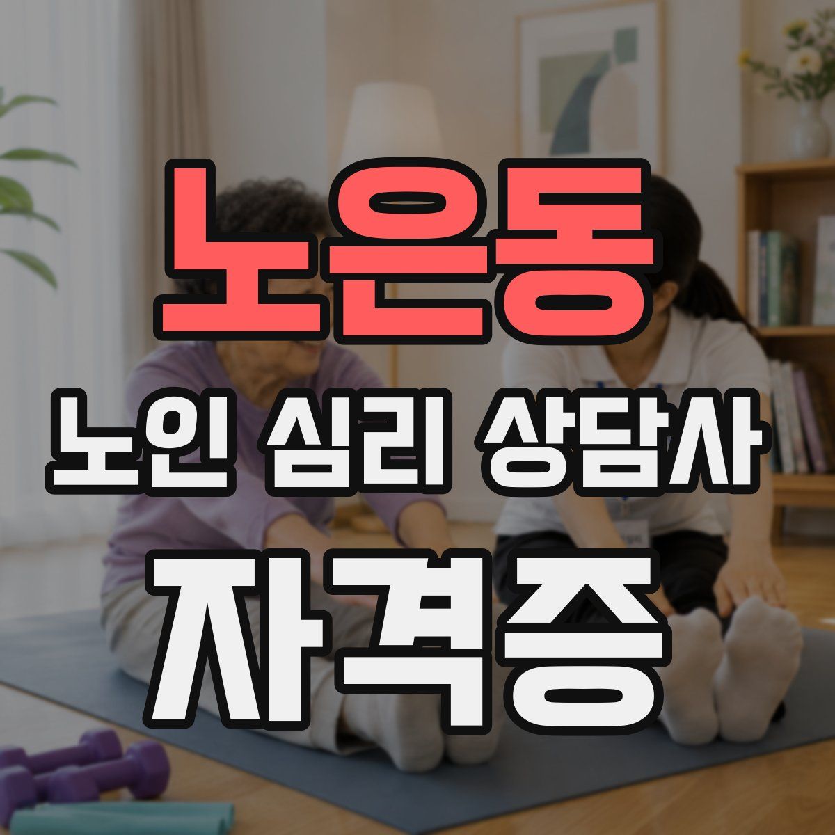 노은동 노인 심리 상담사 자격증