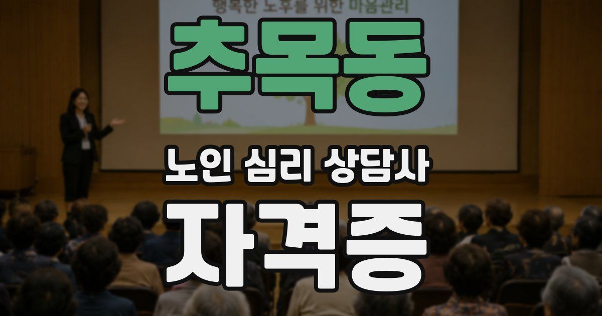 추목동 노인 심리 상담사 자격증