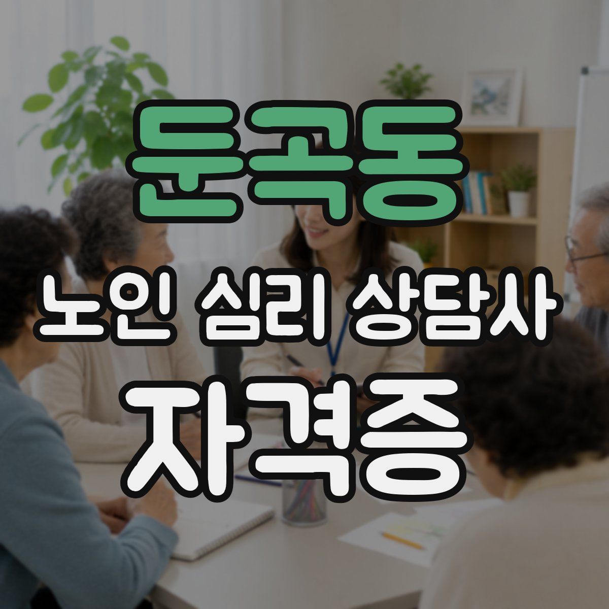 둔곡동 노인 심리 상담사 자격증
