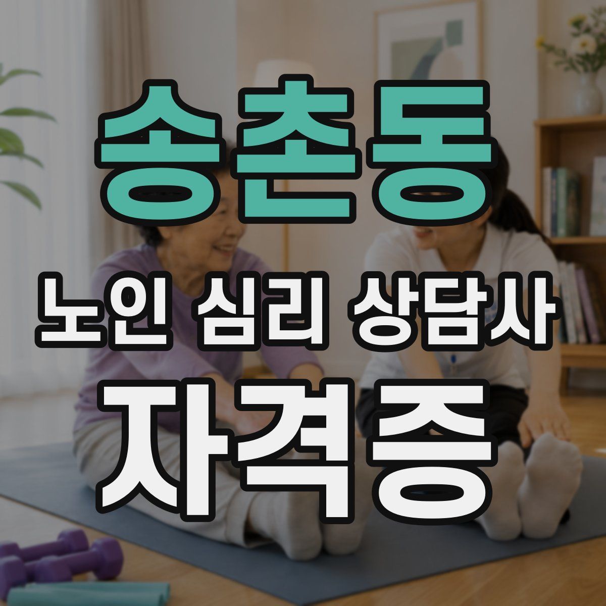 송촌동 노인 심리 상담사 자격증