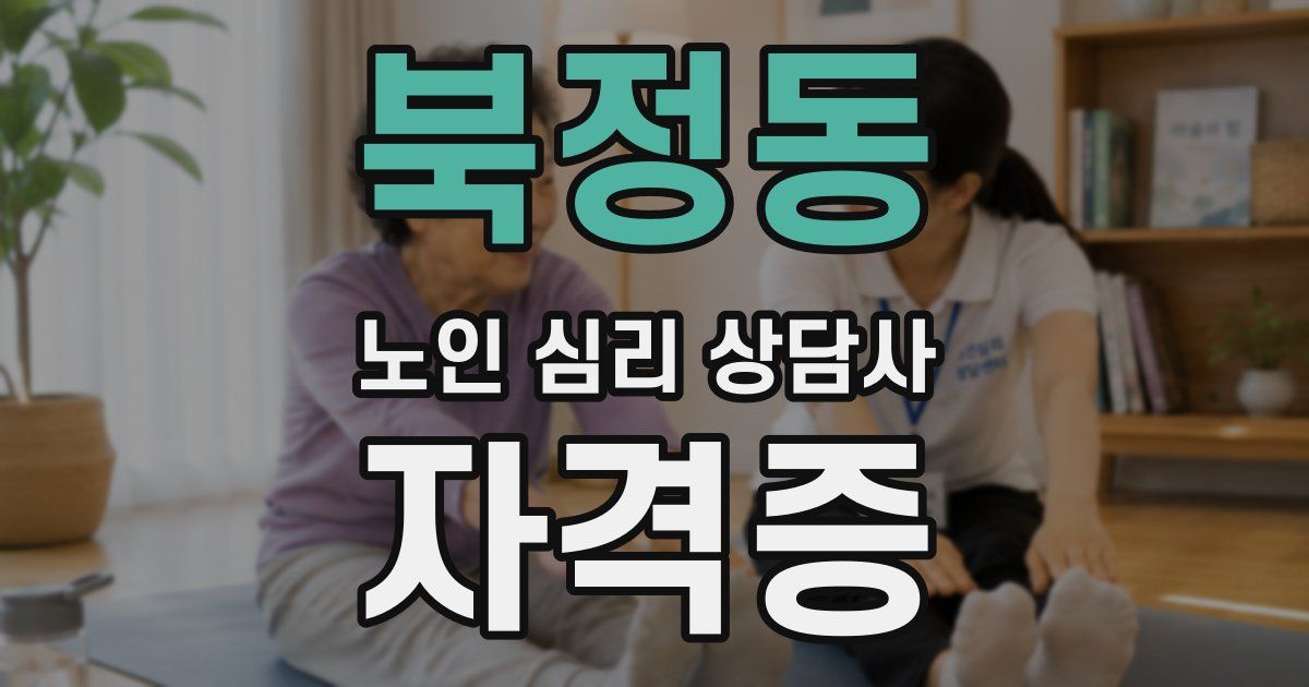 북정동 노인 심리 상담사 자격증