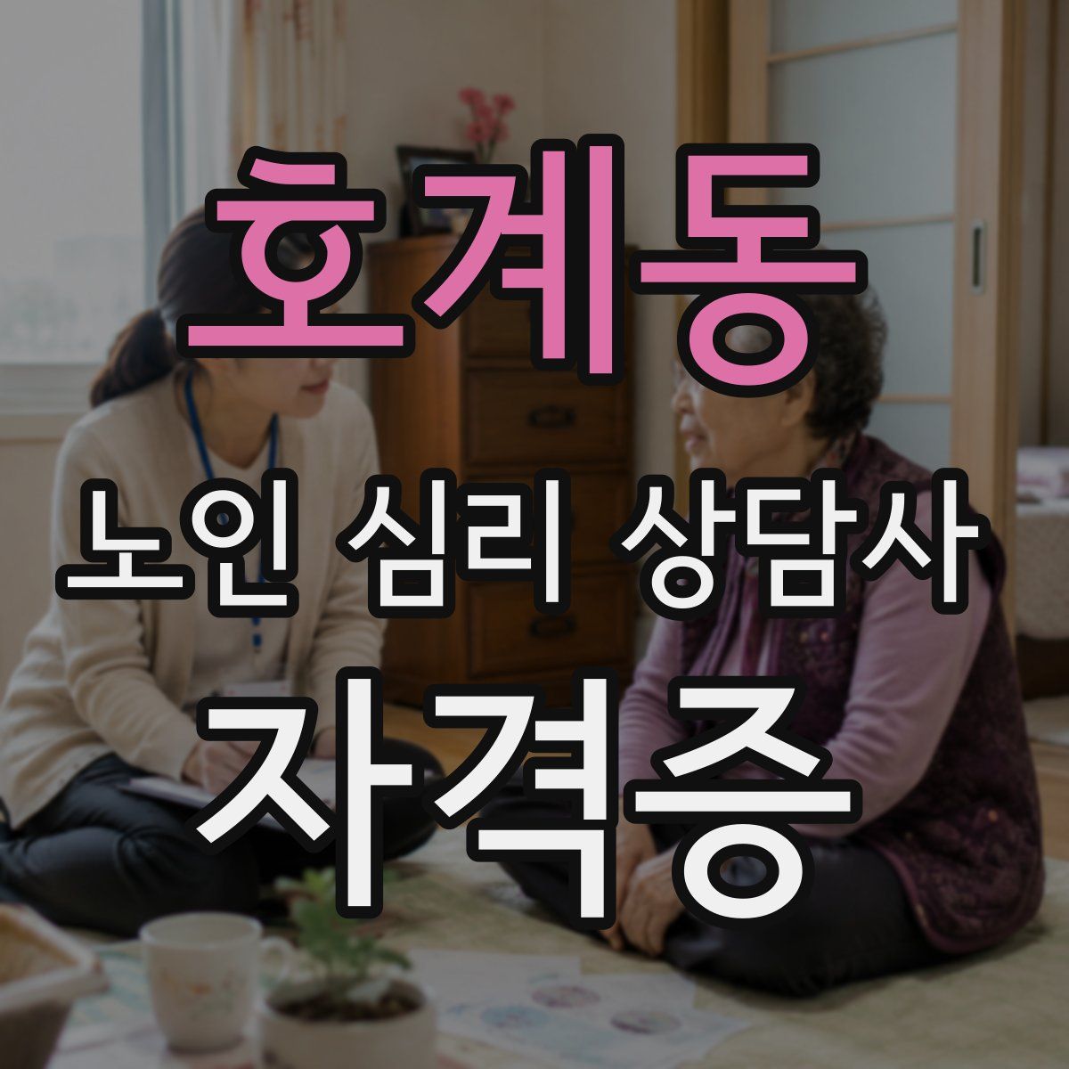 호계동 노인 심리 상담사 자격증