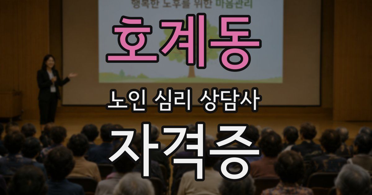 호계동 노인 심리 상담사 자격증