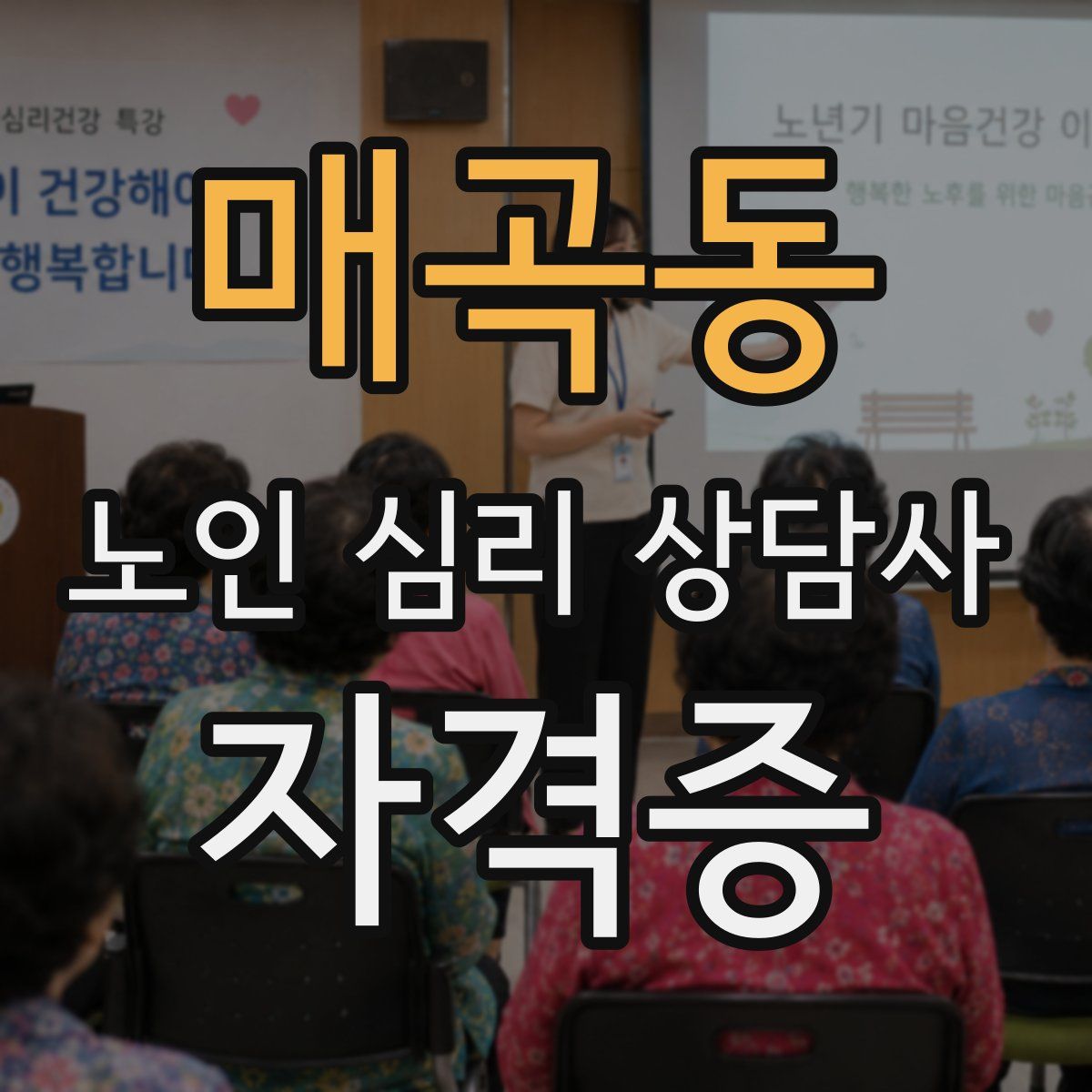 매곡동 노인 심리 상담사 자격증