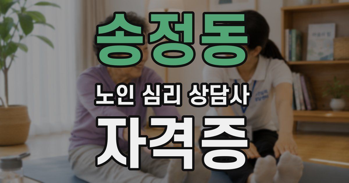 송정동 노인 심리 상담사 자격증