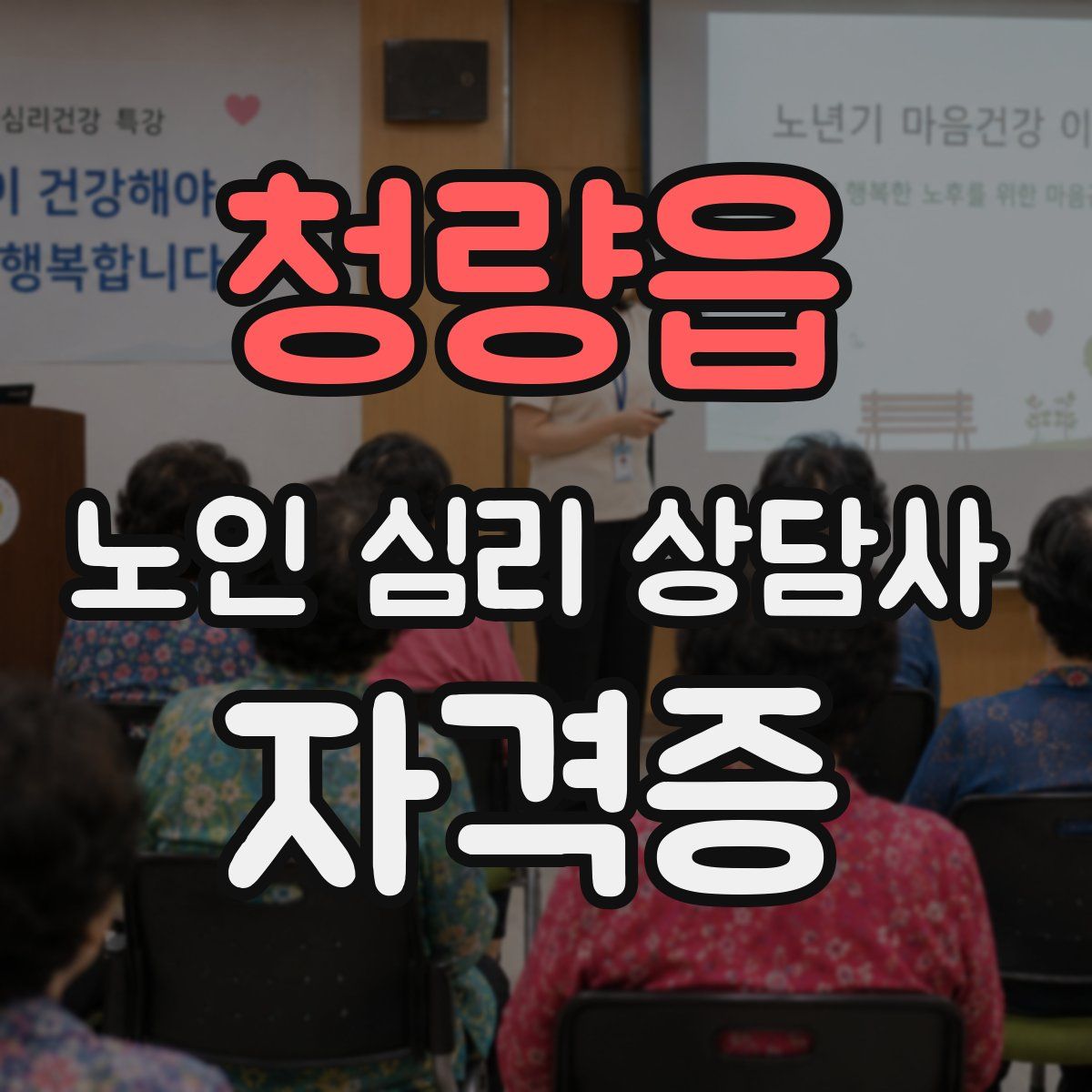 청량읍 노인 심리 상담사 자격증