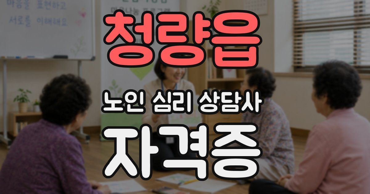 청량읍 노인 심리 상담사 자격증