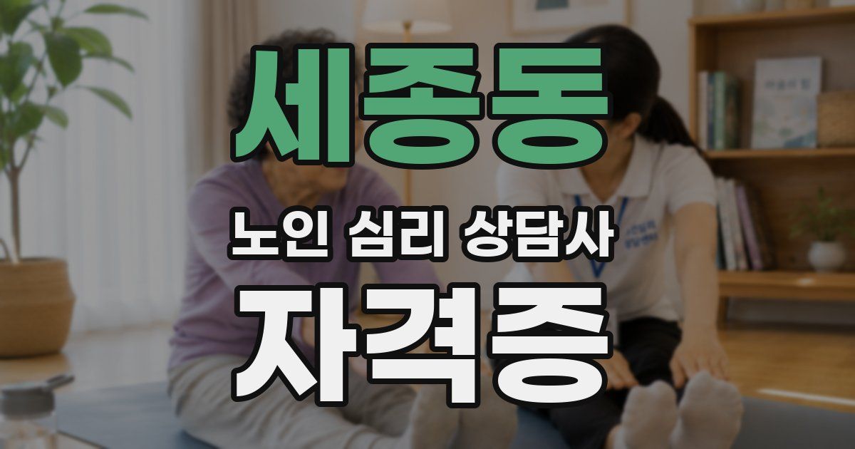 세종동 노인 심리 상담사 자격증