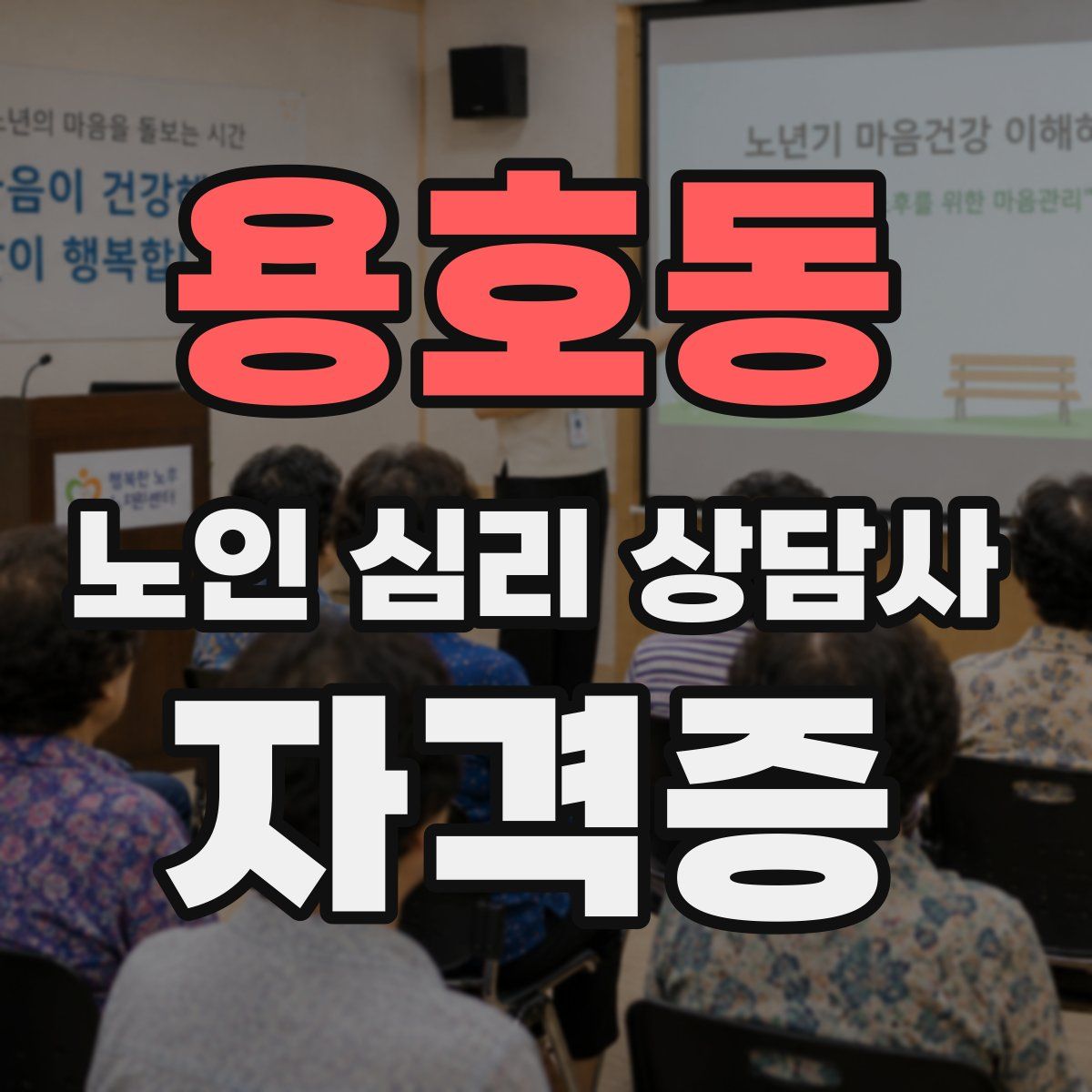 용호동 노인 심리 상담사 자격증