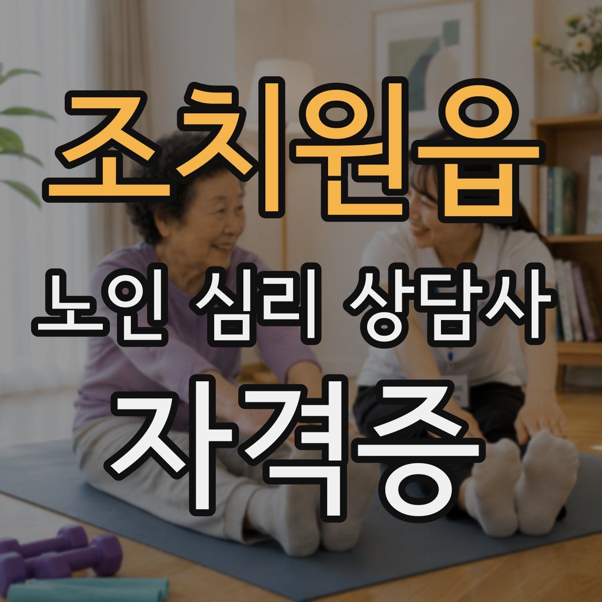 조치원읍 노인 심리 상담사 자격증
