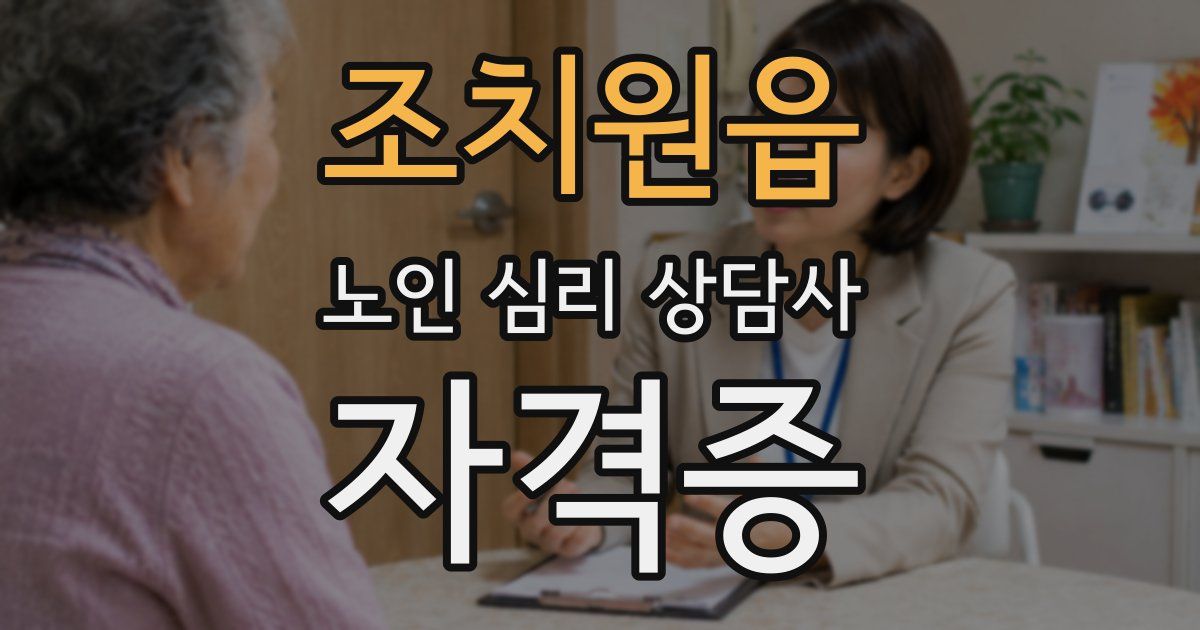 조치원읍 노인 심리 상담사 자격증