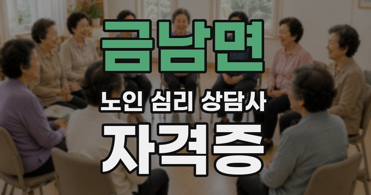 금남면 노인 심리 상담사 자격증