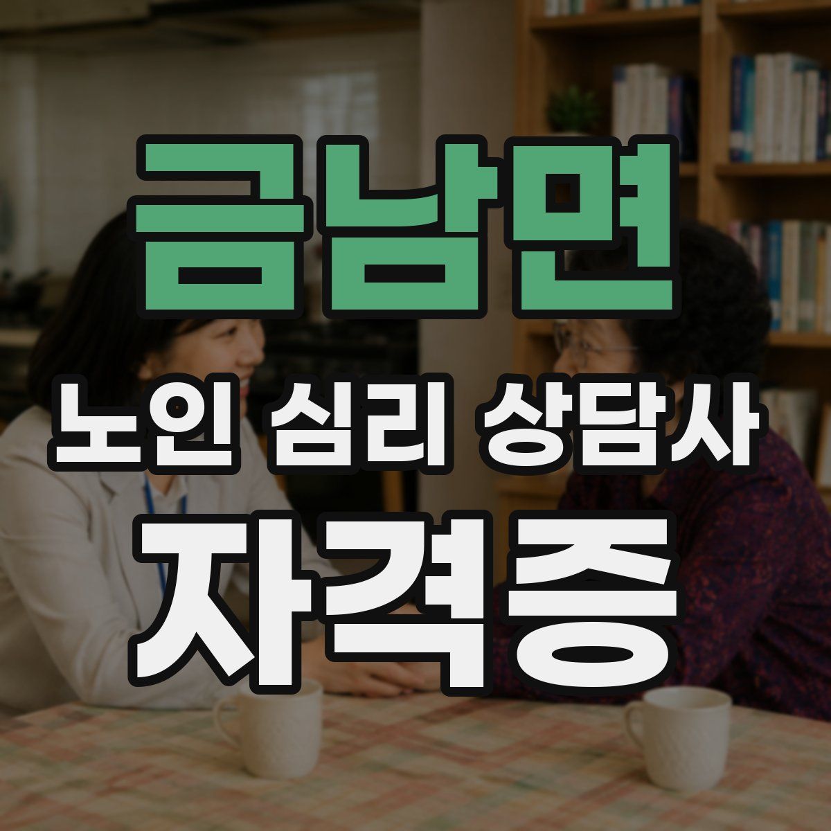 금남면 노인 심리 상담사 자격증