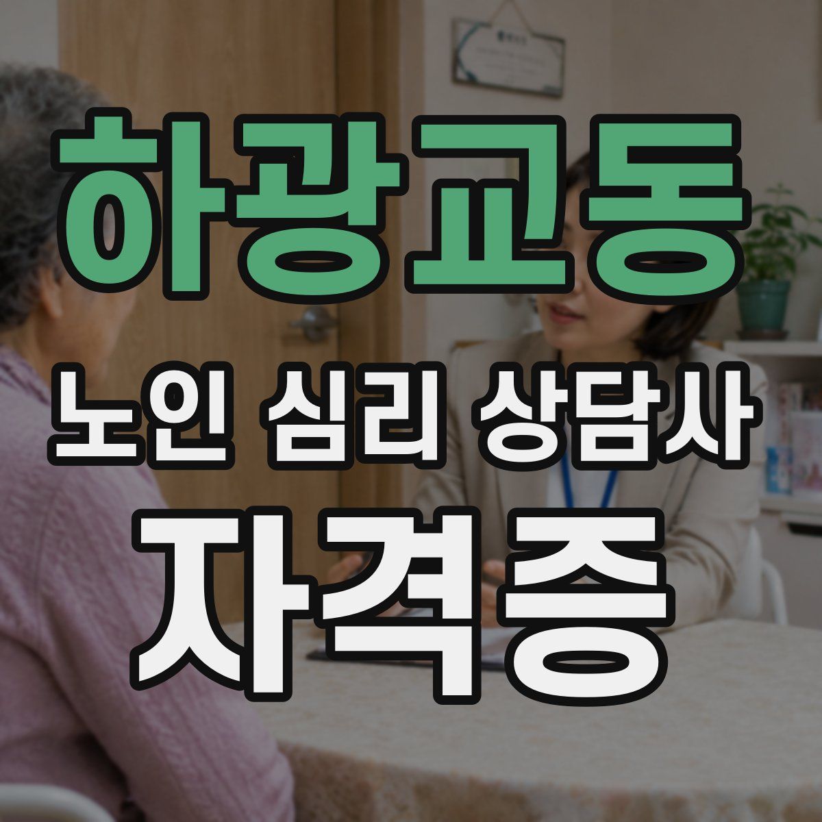 하광교동 노인 심리 상담사 자격증