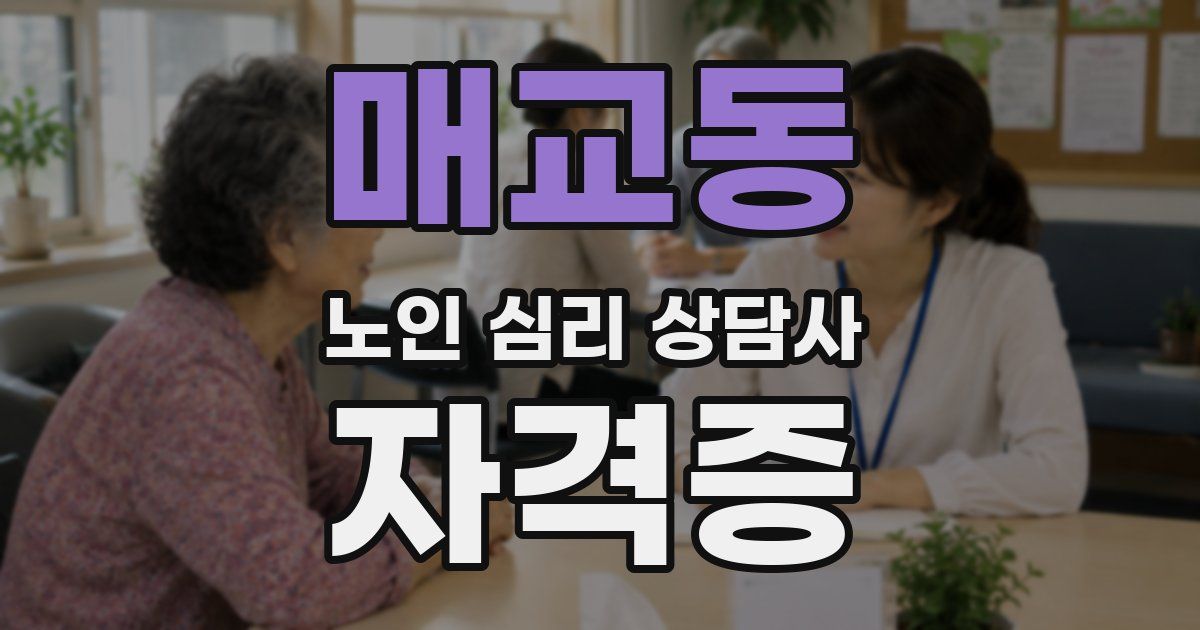 매교동 노인 심리 상담사 자격증