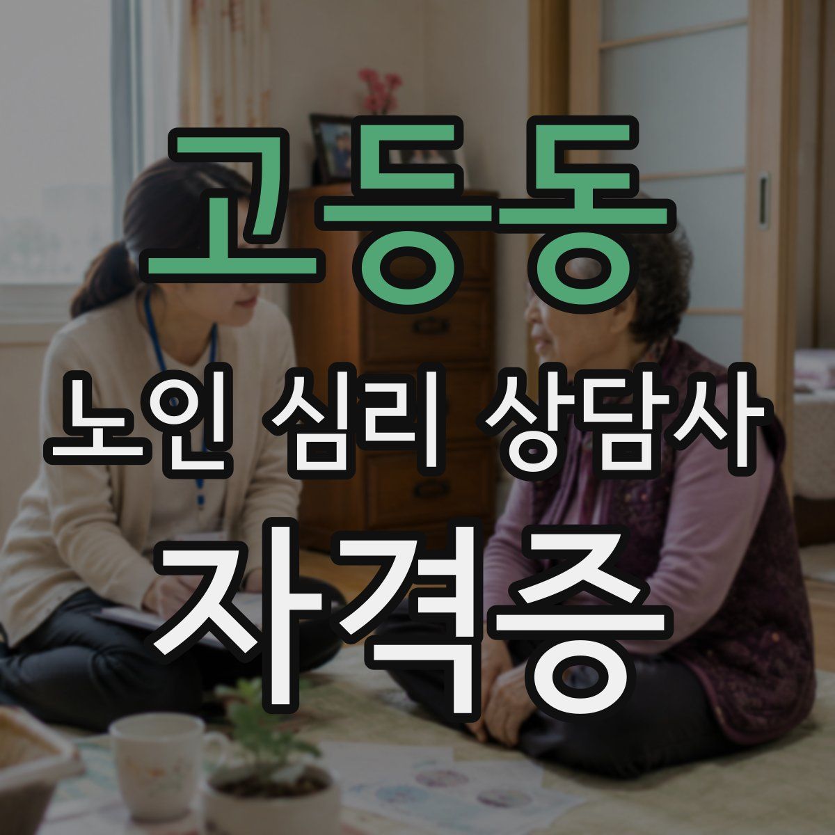 고등동 노인 심리 상담사 자격증