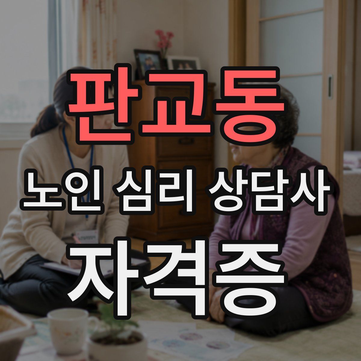 판교동 노인 심리 상담사 자격증