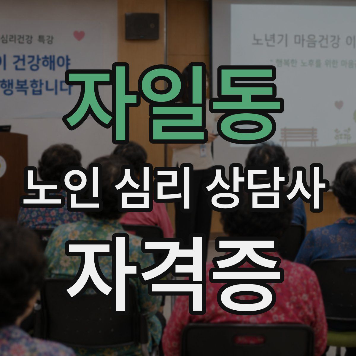 자일동 노인 심리 상담사 자격증