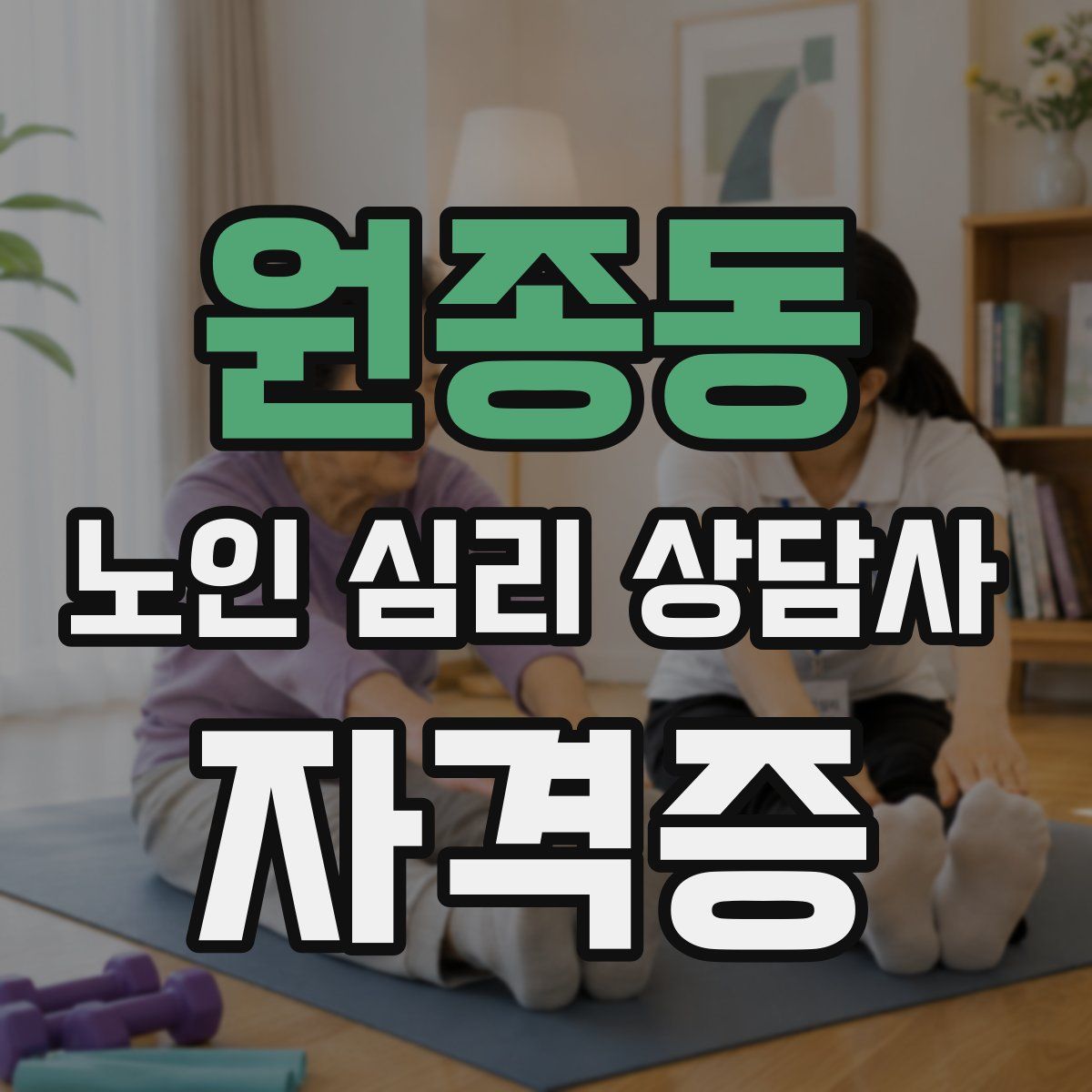 원종동 노인 심리 상담사 자격증