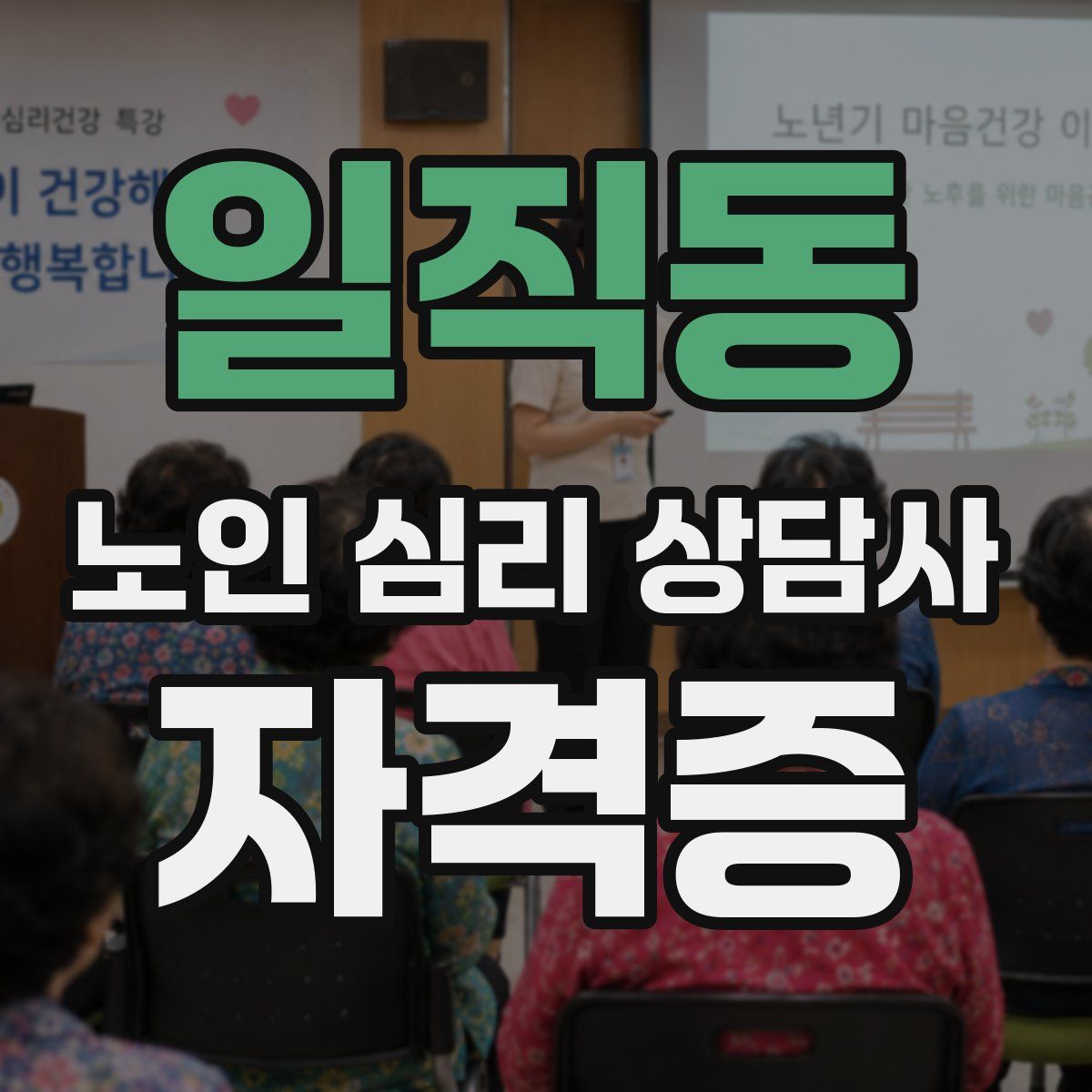 일직동 노인 심리 상담사 자격증