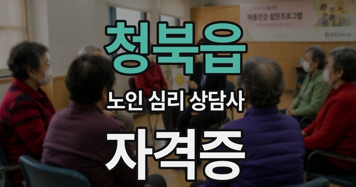 청북읍 노인 심리 상담사 자격증