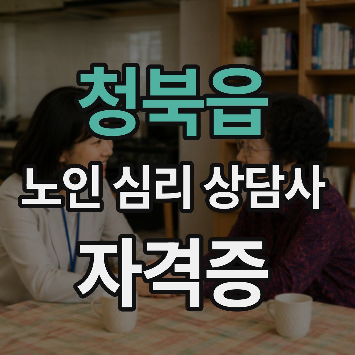 청북읍 노인 심리 상담사 자격증