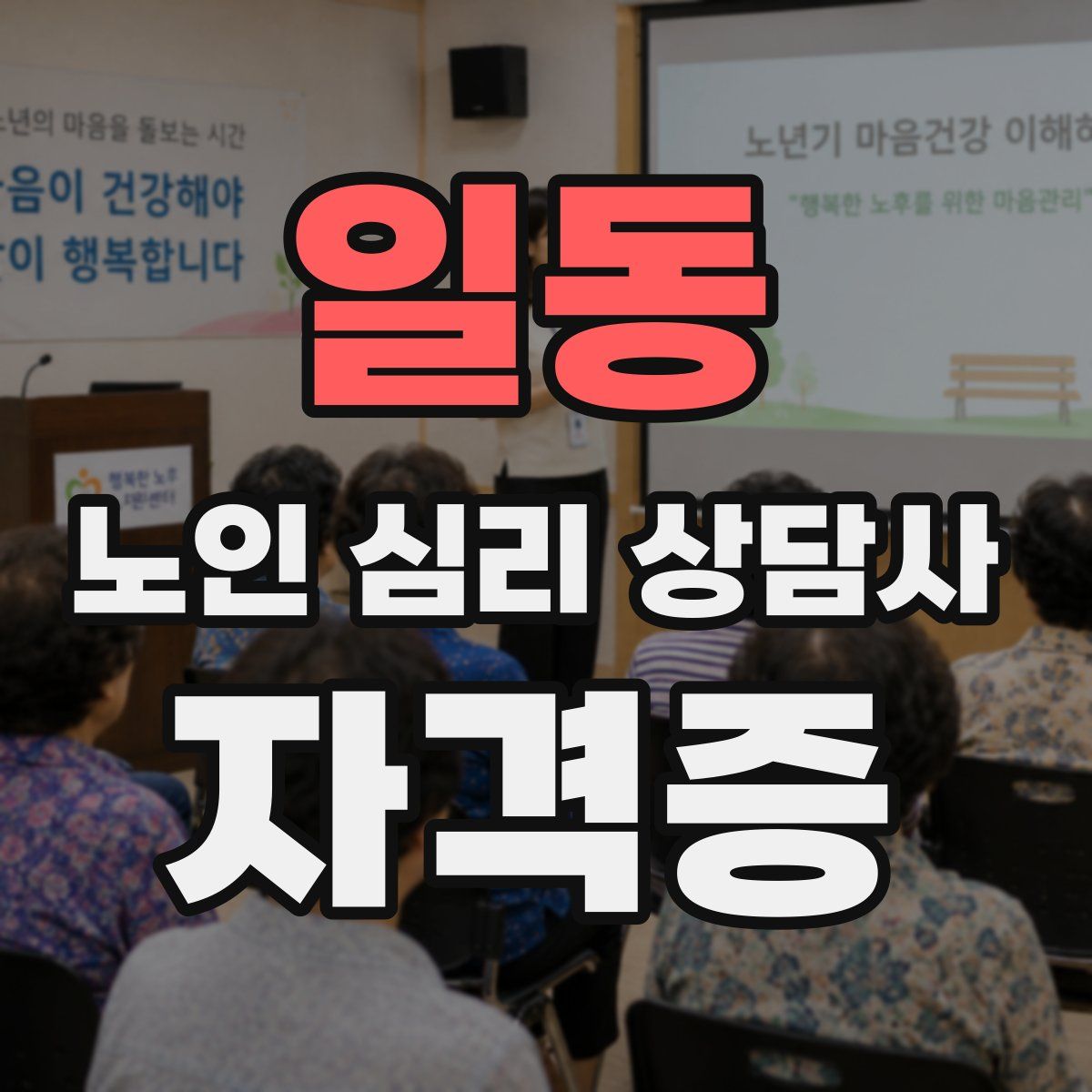 일동 노인 심리 상담사 자격증