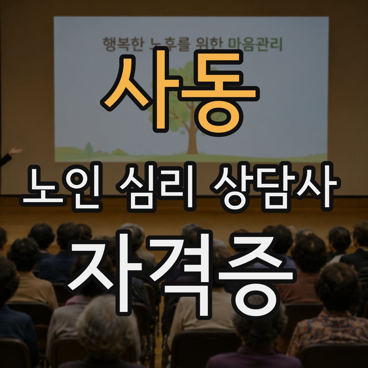 사동 노인 심리 상담사 자격증
