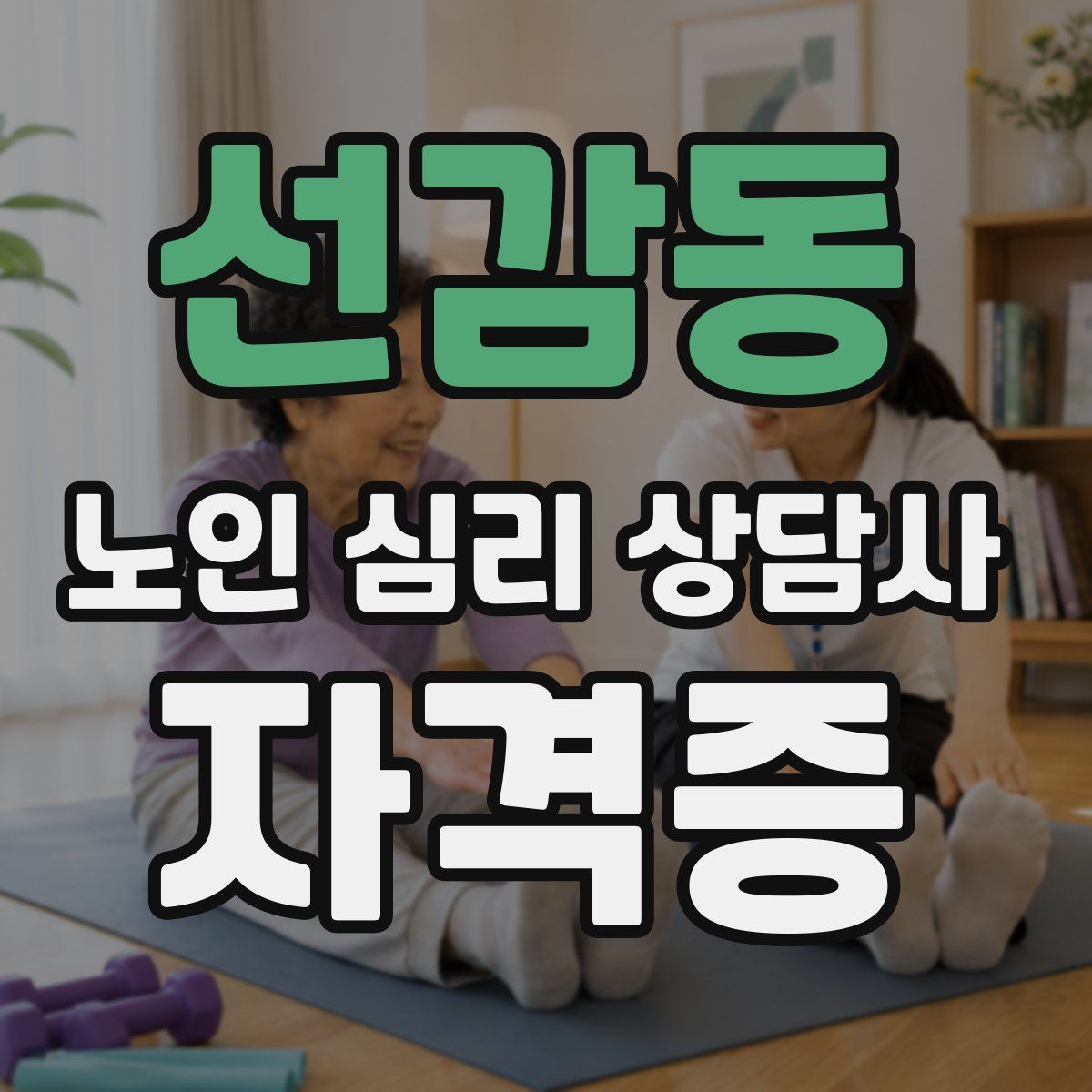선감동 노인 심리 상담사 자격증