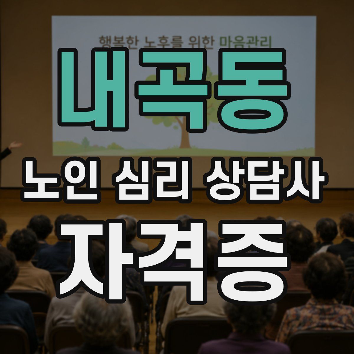 내곡동 노인 심리 상담사 자격증