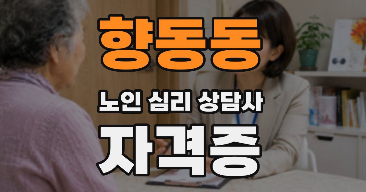 향동동 노인 심리 상담사 자격증