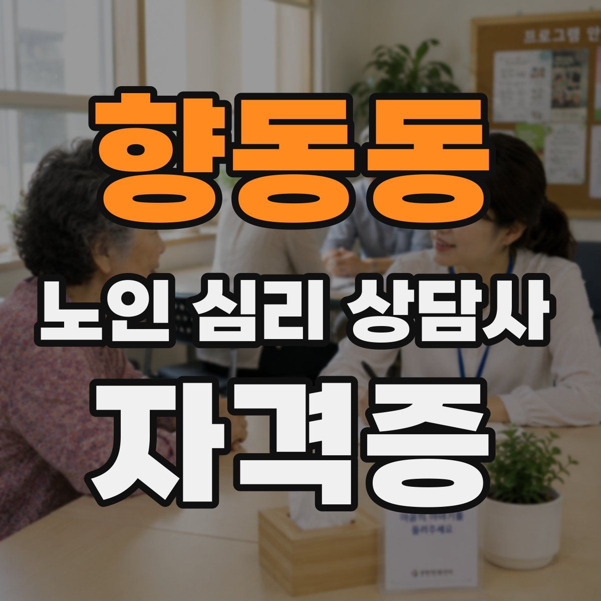 향동동 노인 심리 상담사 자격증
