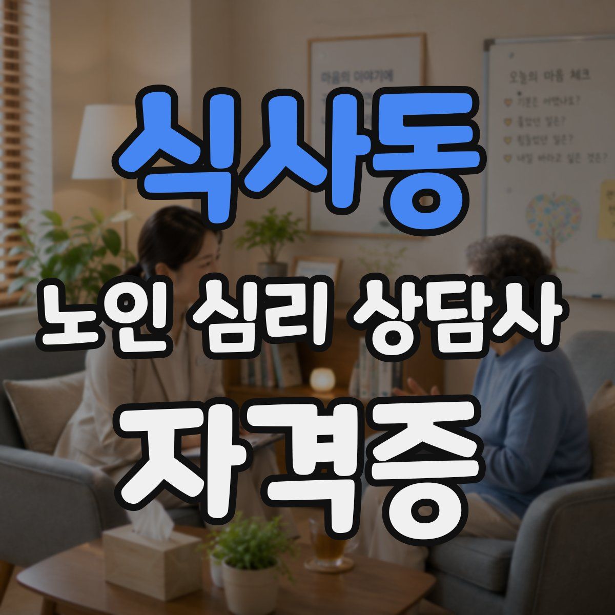 식사동 노인 심리 상담사 자격증