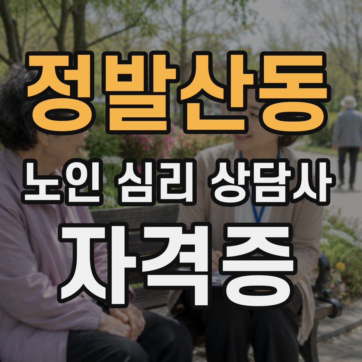 정발산동 노인 심리 상담사 자격증