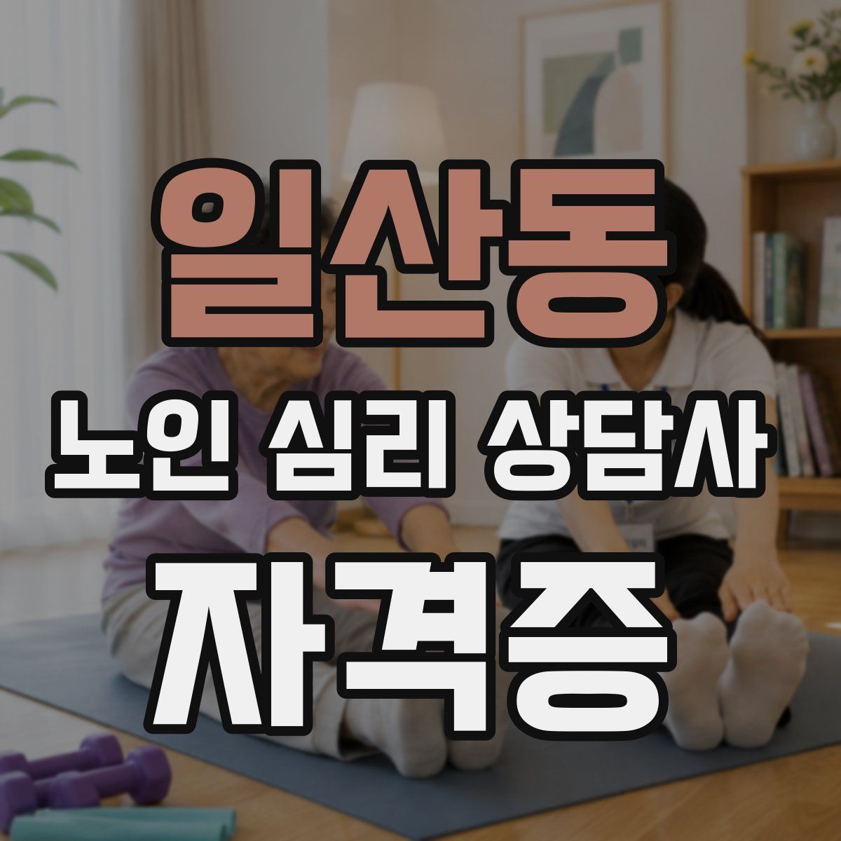 일산동 노인 심리 상담사 자격증