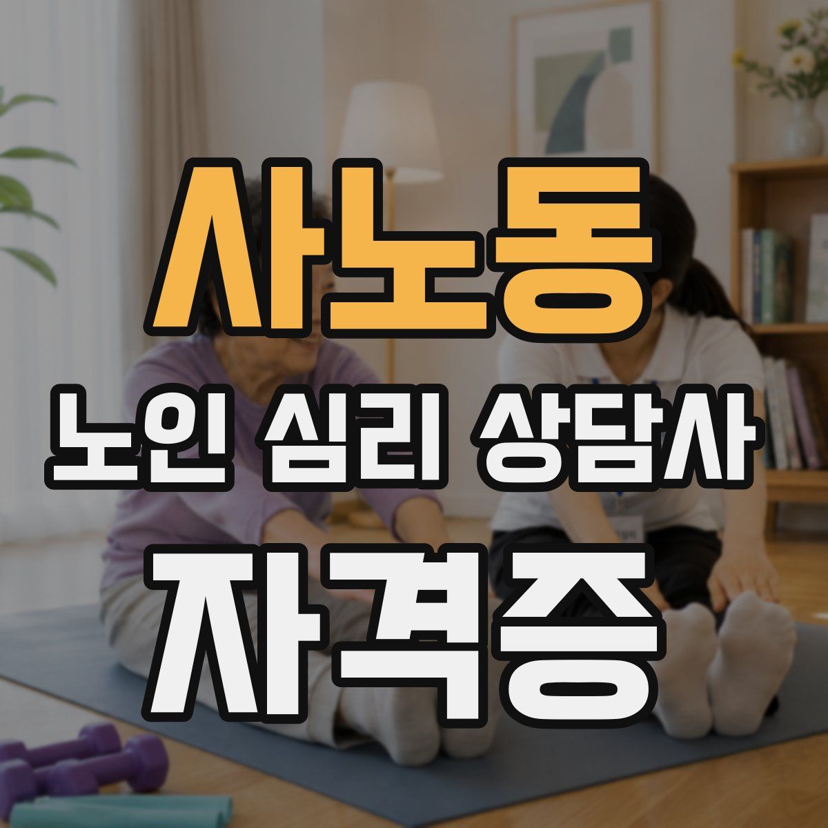 사노동 노인 심리 상담사 자격증