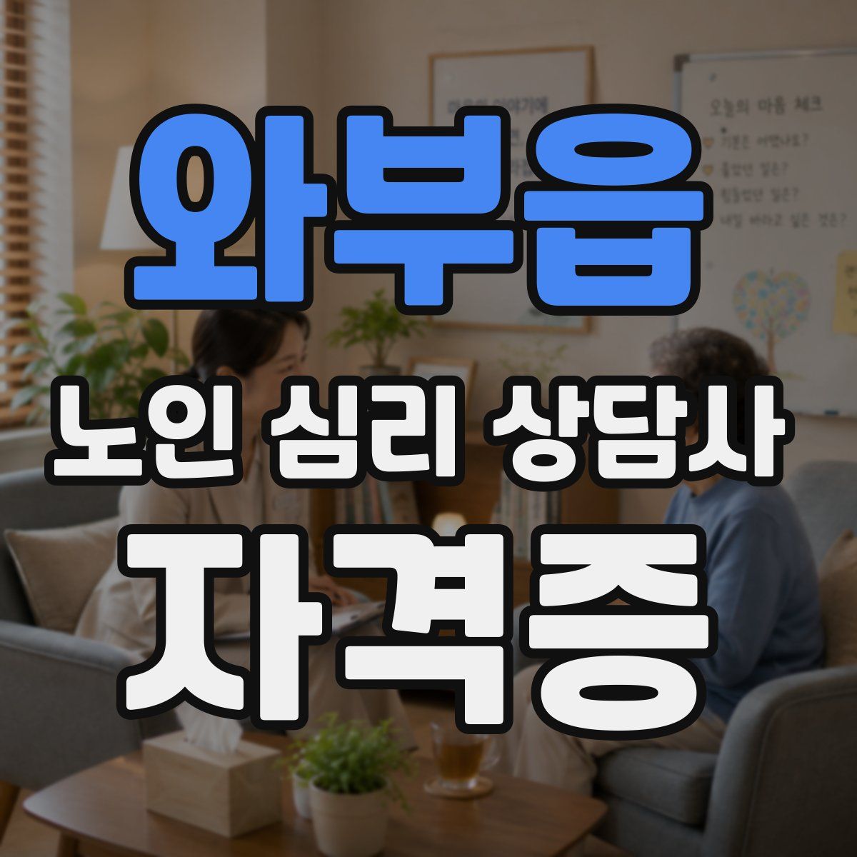 와부읍 노인 심리 상담사 자격증
