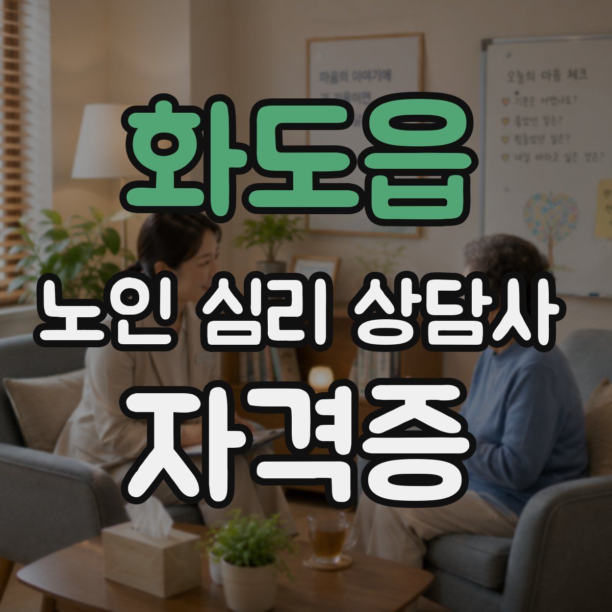 화도읍 노인 심리 상담사 자격증