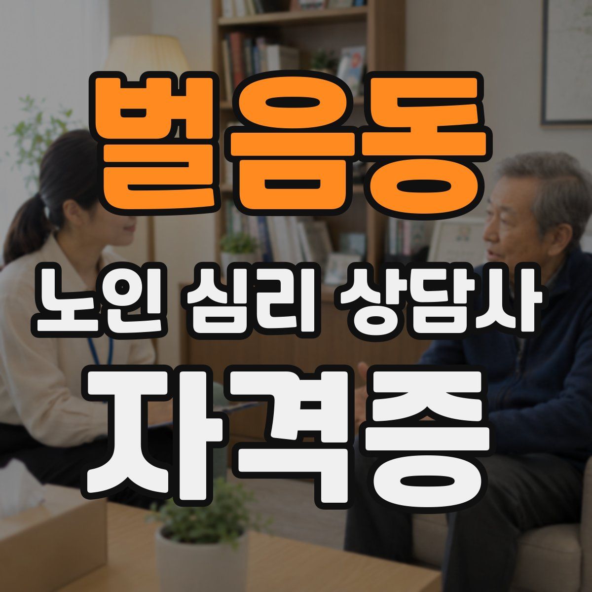 벌음동 노인 심리 상담사 자격증