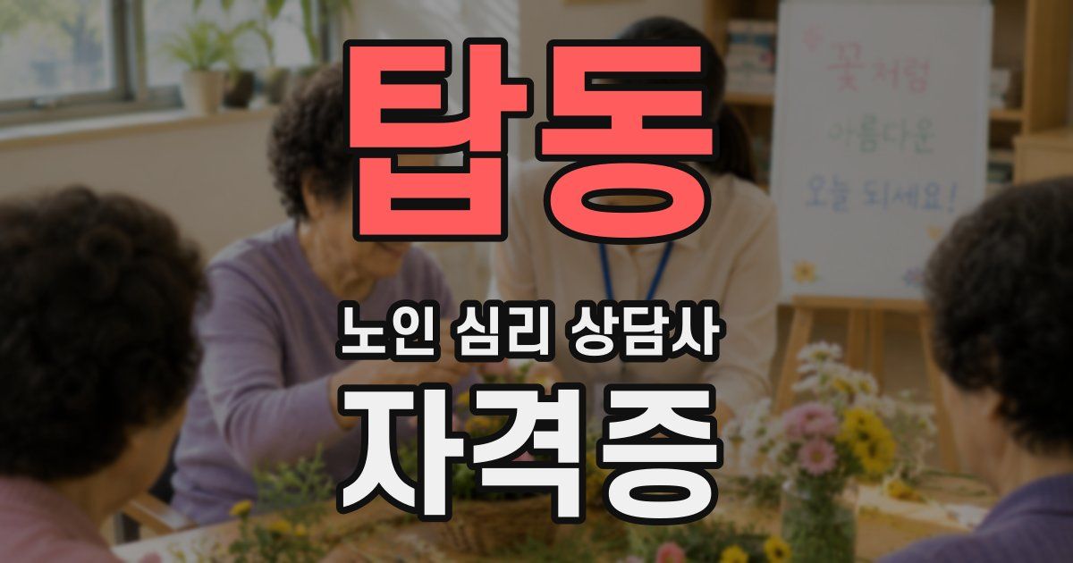 탑동 노인 심리 상담사 자격증