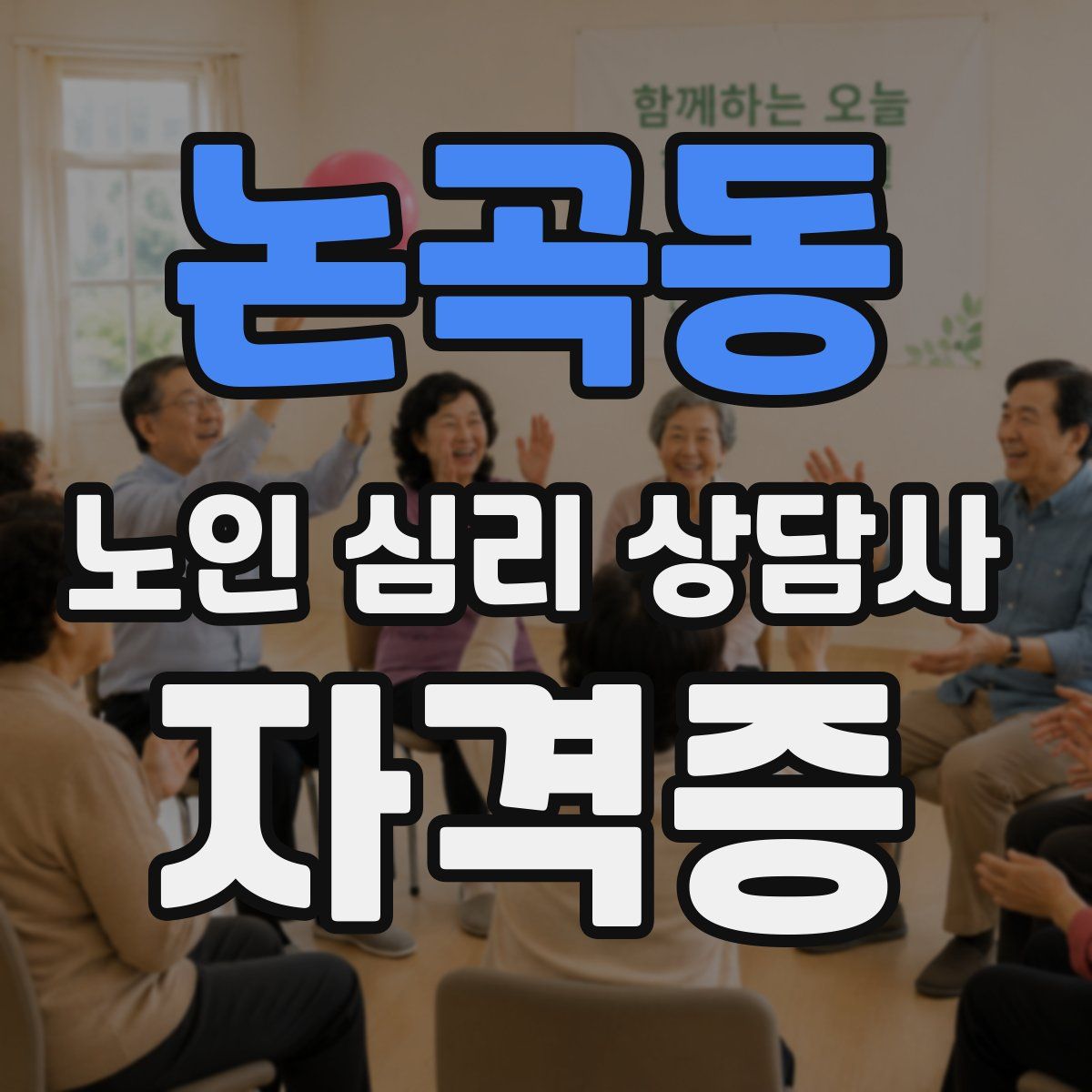 논곡동 노인 심리 상담사 자격증