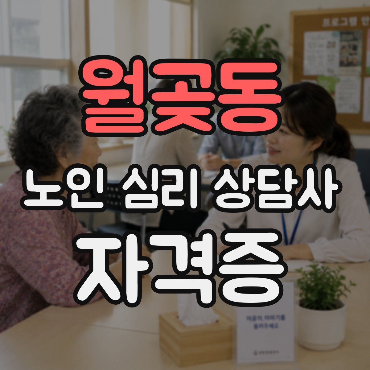 월곶동 노인 심리 상담사 자격증
