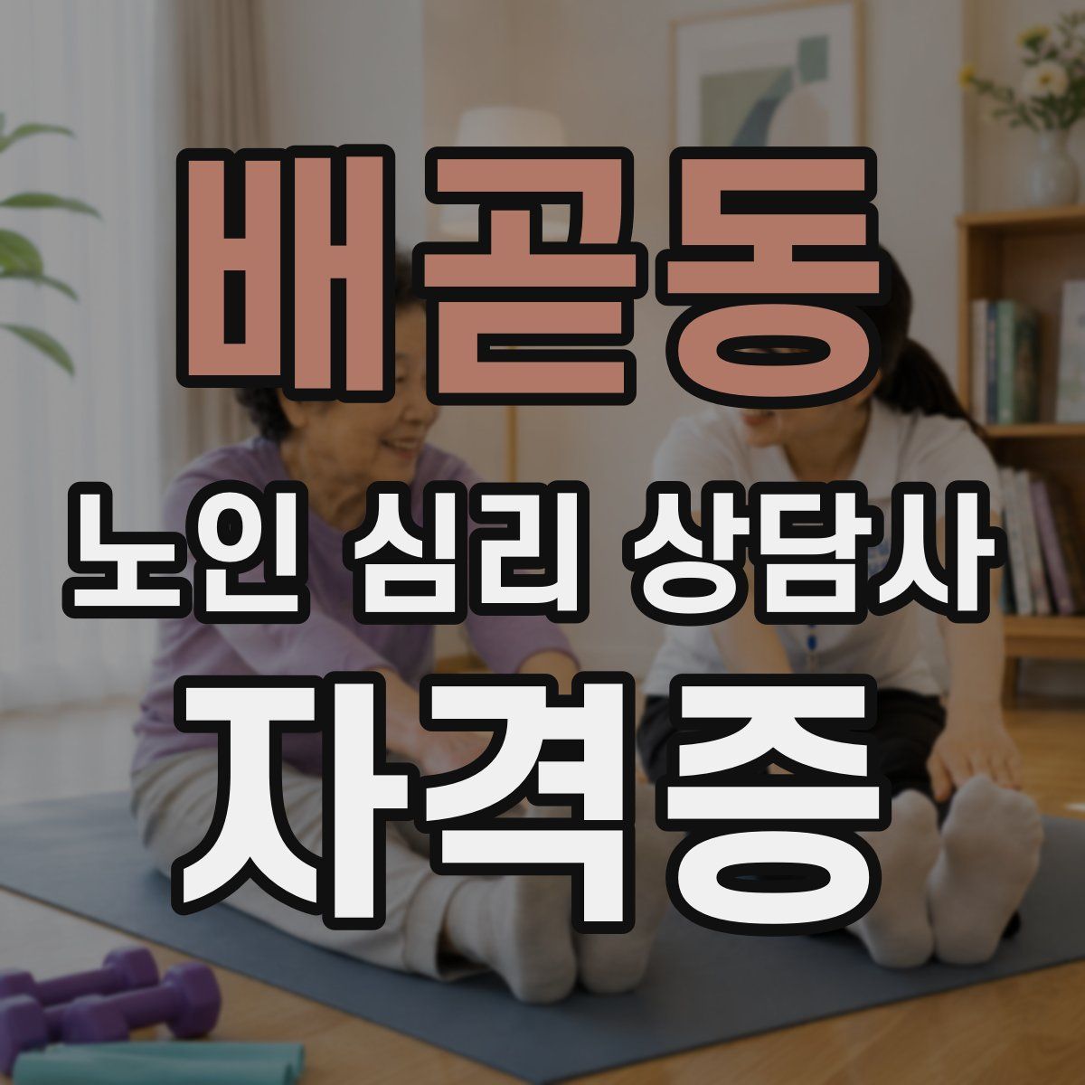 배곧동 노인 심리 상담사 자격증