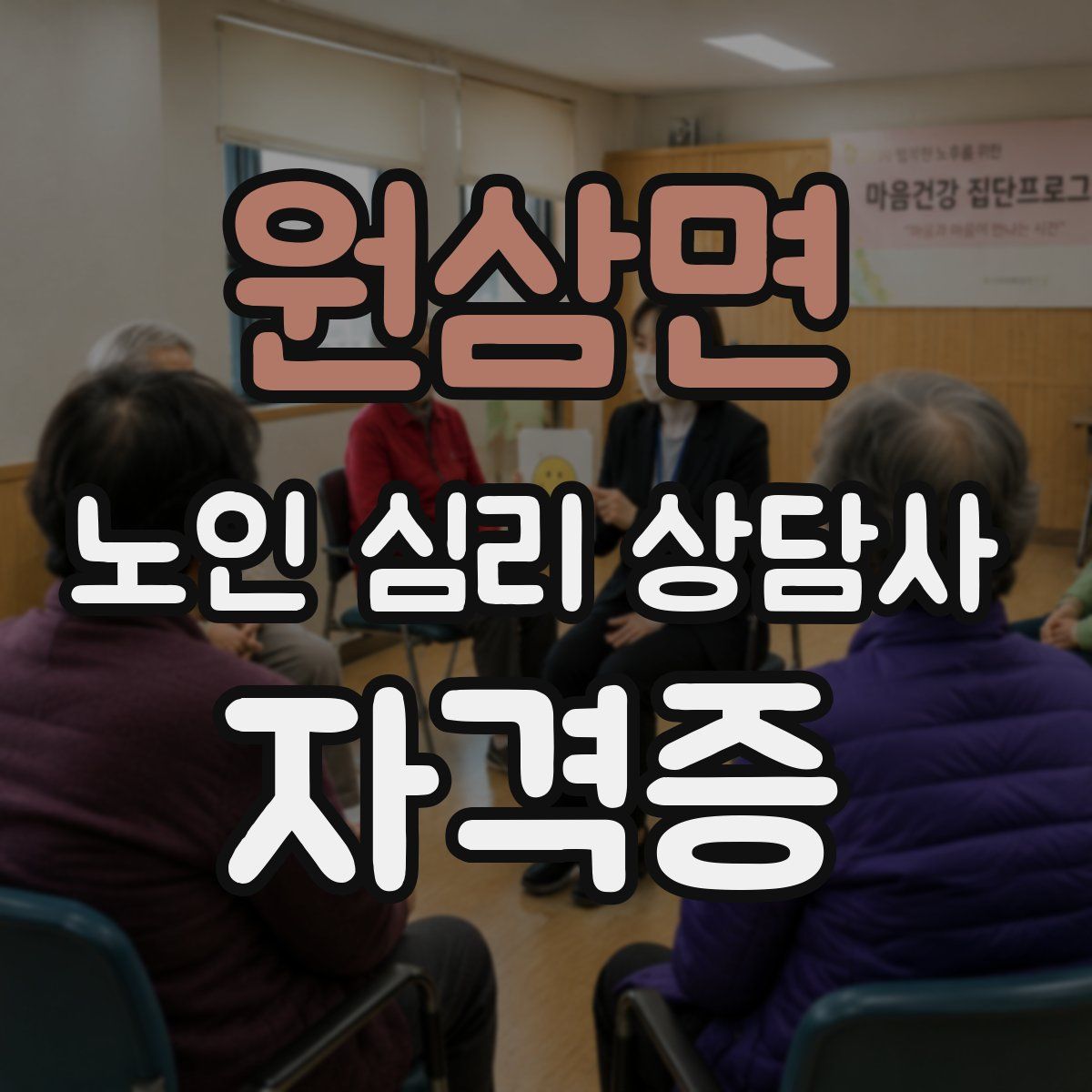 원삼면 노인 심리 상담사 자격증