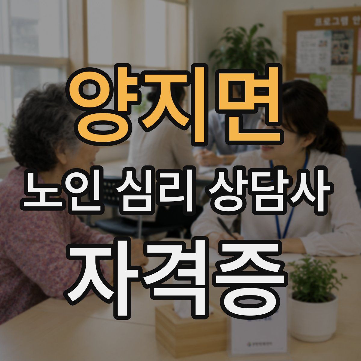 양지면 노인 심리 상담사 자격증