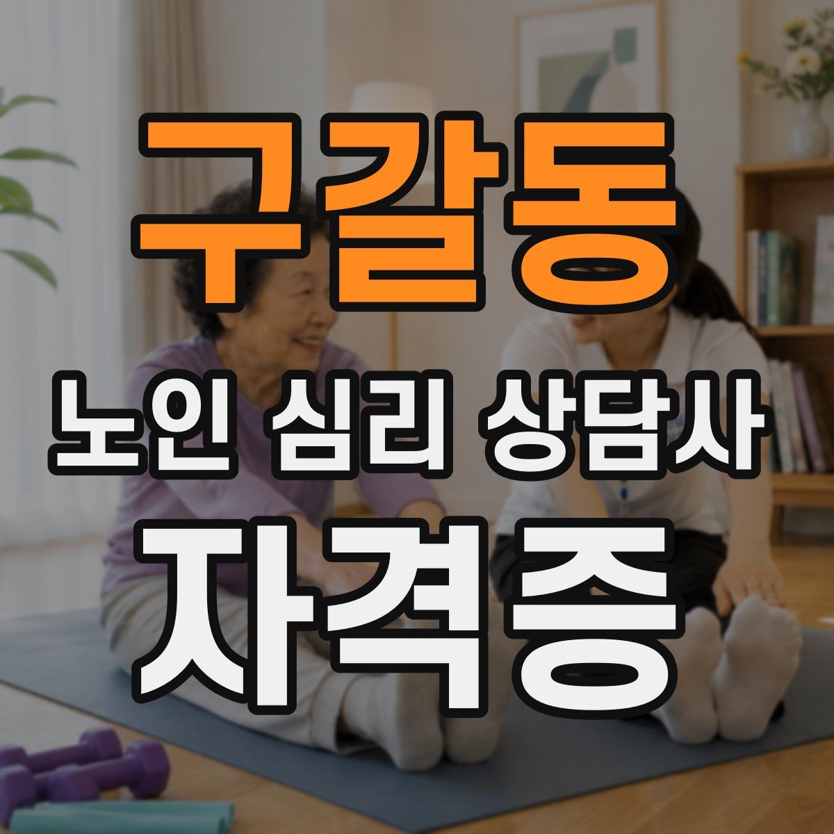 구갈동 노인 심리 상담사 자격증