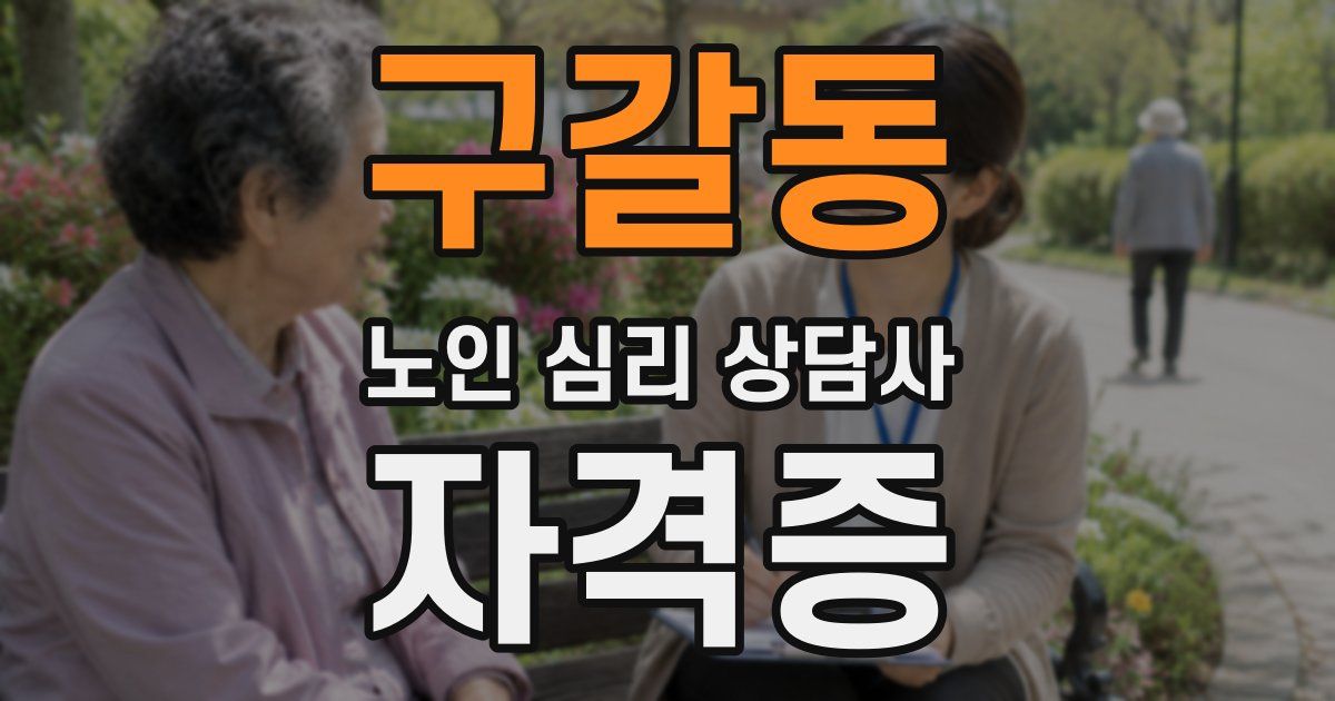구갈동 노인 심리 상담사 자격증